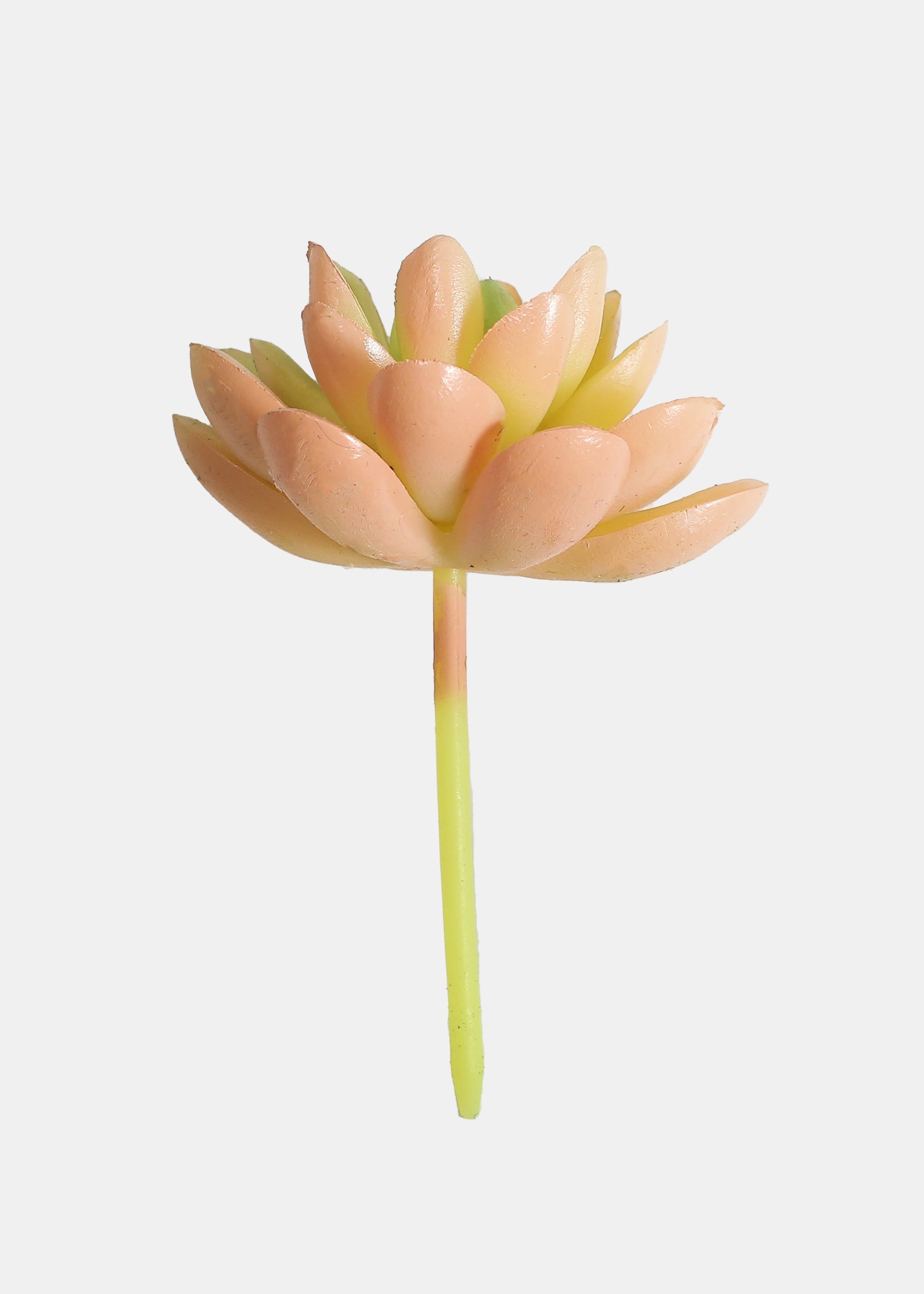 Official Key Items Artificial Succulents - Green Diamond Lotus
