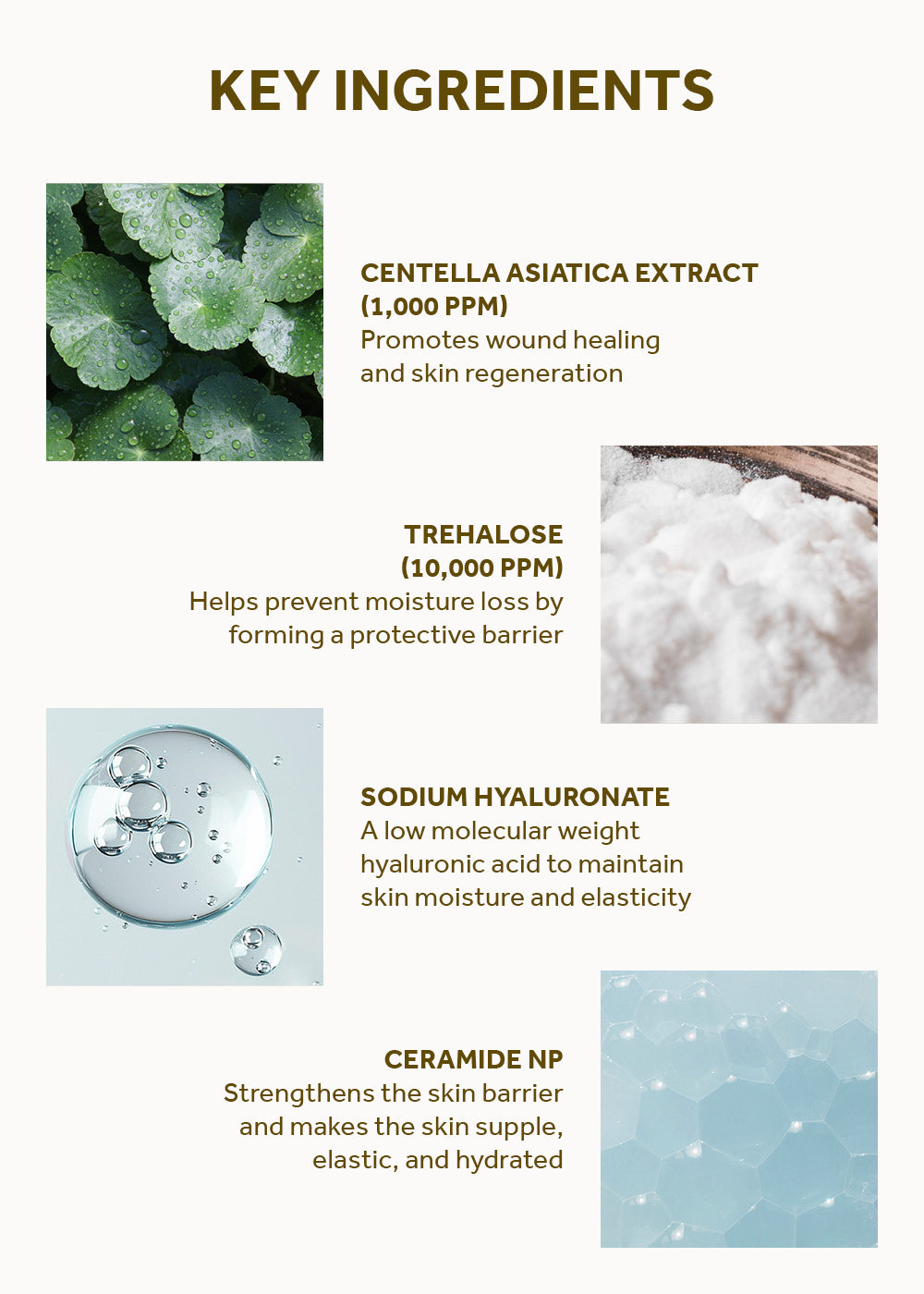SKIN1004 Madagascar Centella Soothing Cream 75ml