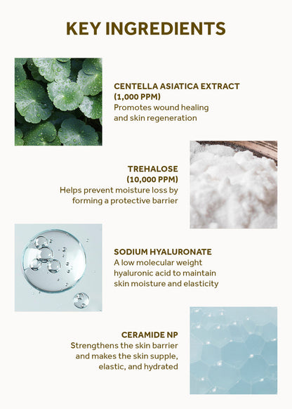 SKIN1004 Madagascar Centella Soothing Cream 75ml