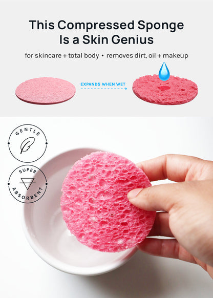 AOA Compressed Facial Sponges
